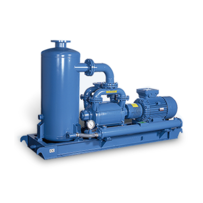Bơm Chân Không Robuschi KRVS -  KRVS Vacuum Pumps 